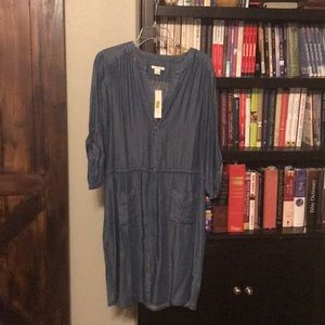 Westbound denim dress
